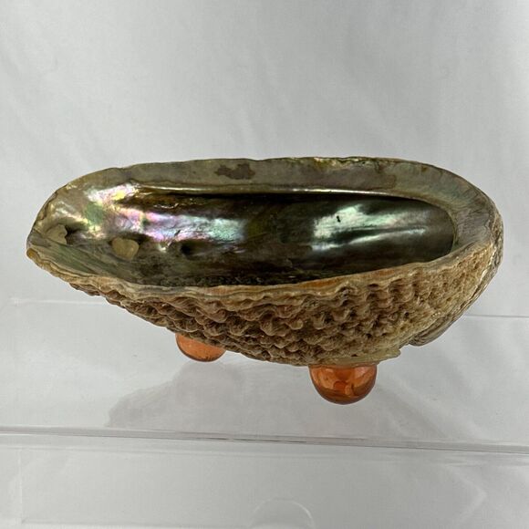 Vintage MCM Large Abalone Shell Footed Bowl Dish Smudge Stick Candy Trinket - Picture 5 of 8